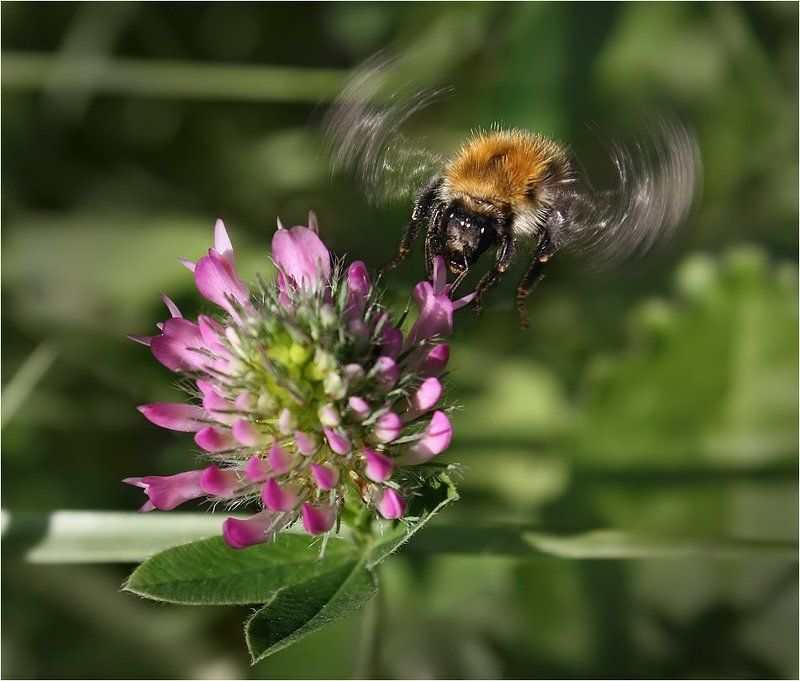 Дозаправка в воздухеphoto preview