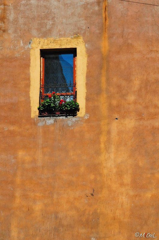 Питерские окна.photo preview