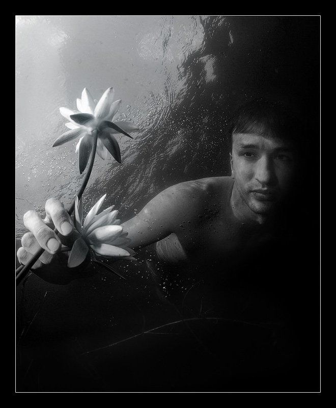 За цветкомphoto preview