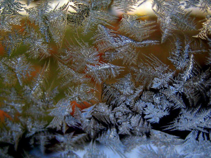 макро /// фото превью