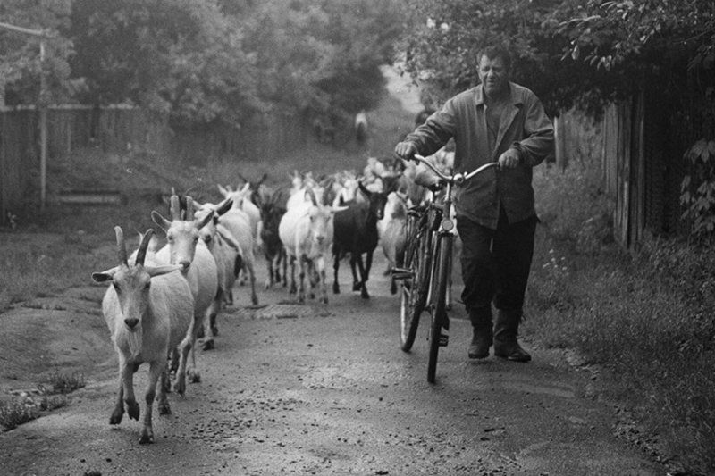 зенит е , плёнка ***photo preview