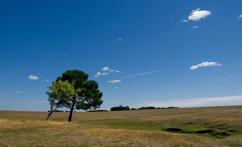 зауральские просторыphoto preview