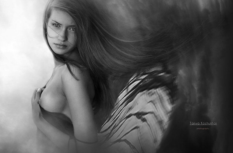 butterflyphoto preview