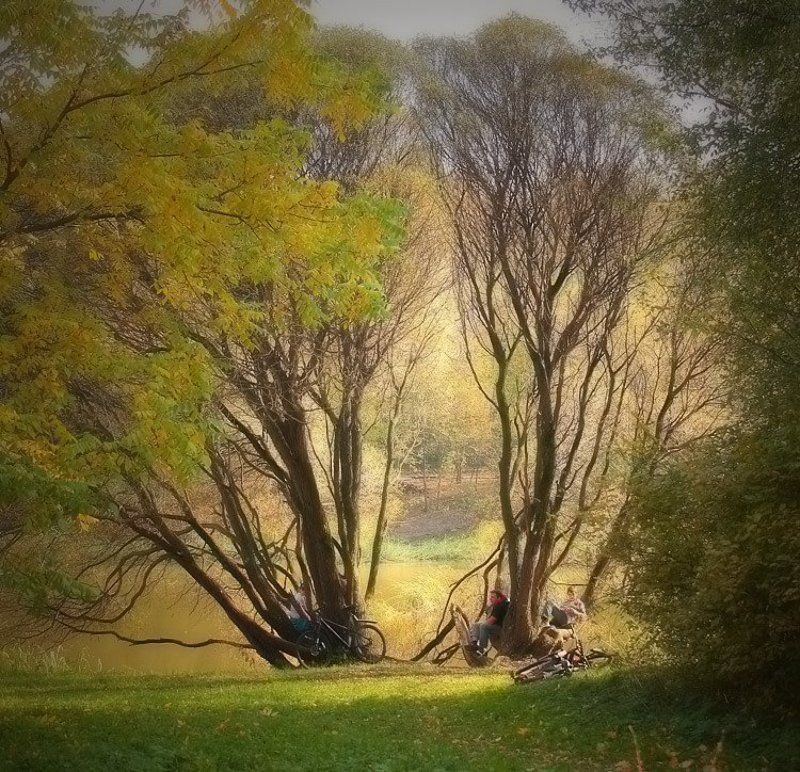 Прогулкаphoto preview