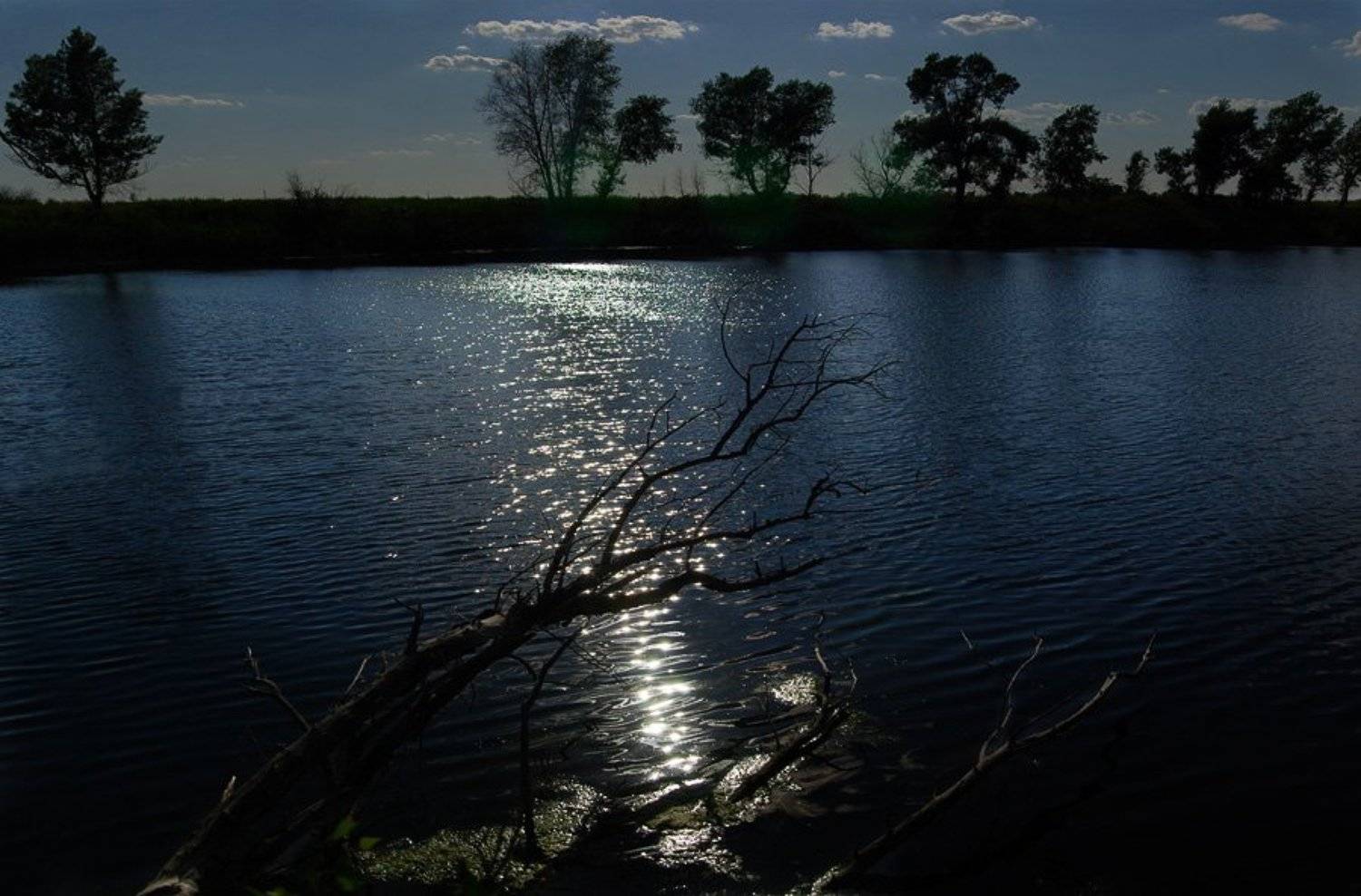 пейзаж, природа, зауралье, фотограф, руденко, олег, Руденко Олег