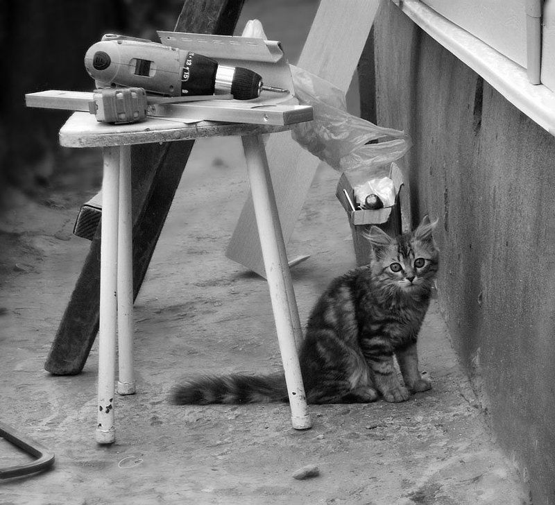 Юный строительphoto preview