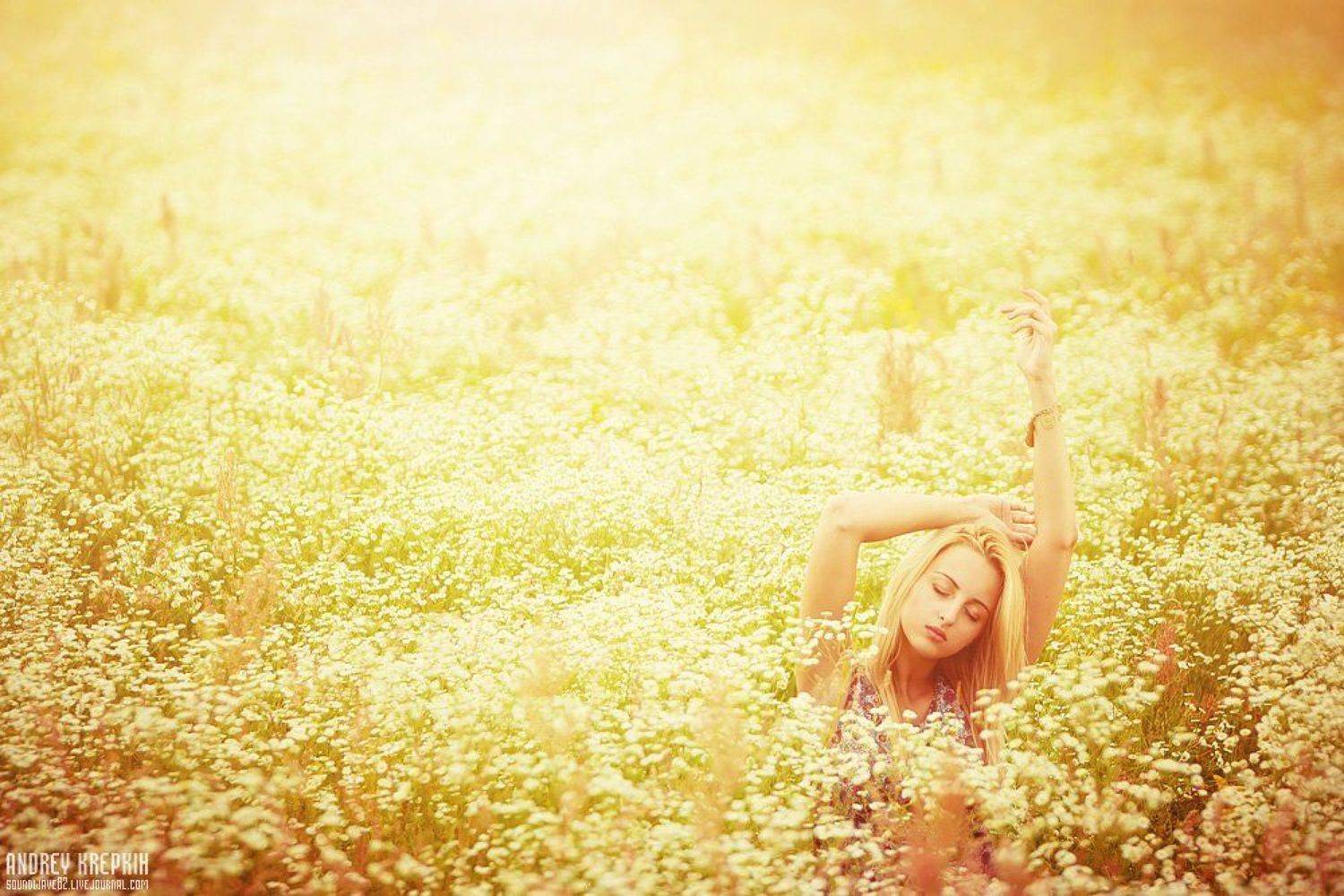настя, девушка, поле, цветы, Андрей Крепких (Sound Wave)