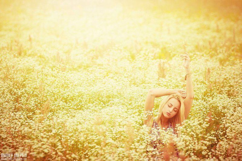 настя, девушка, поле, цветы ***photo preview