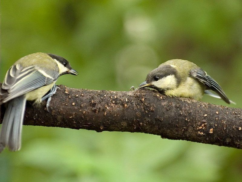 на расстоянии удараphoto preview