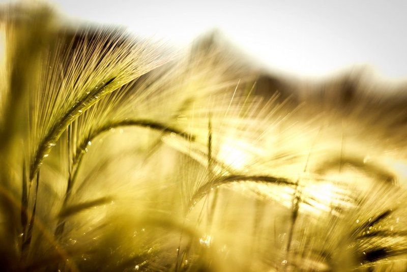 На закате  дня фото превью