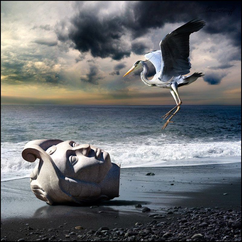 Cassiusphoto preview