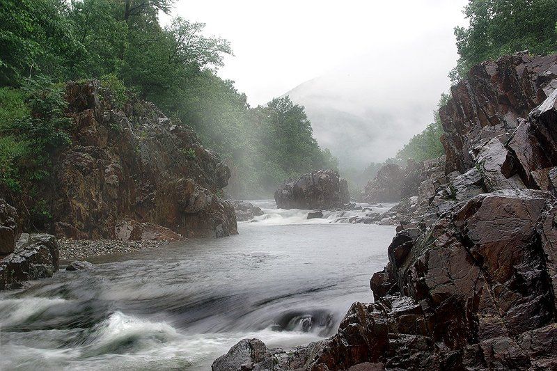 Мокрый пейзажphoto preview