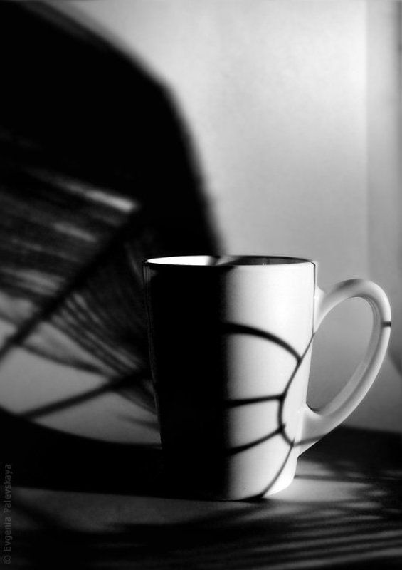 cap,white,black,line Shadowphoto preview