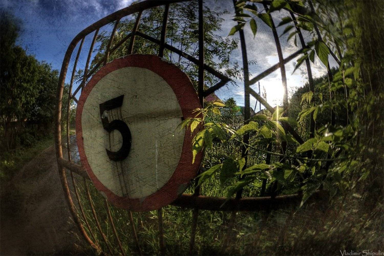 лето,знак,знаки,владимир,шипулин,запрещающий,запрещающие,пейзаж,пеленг, Vladim_Shipulin