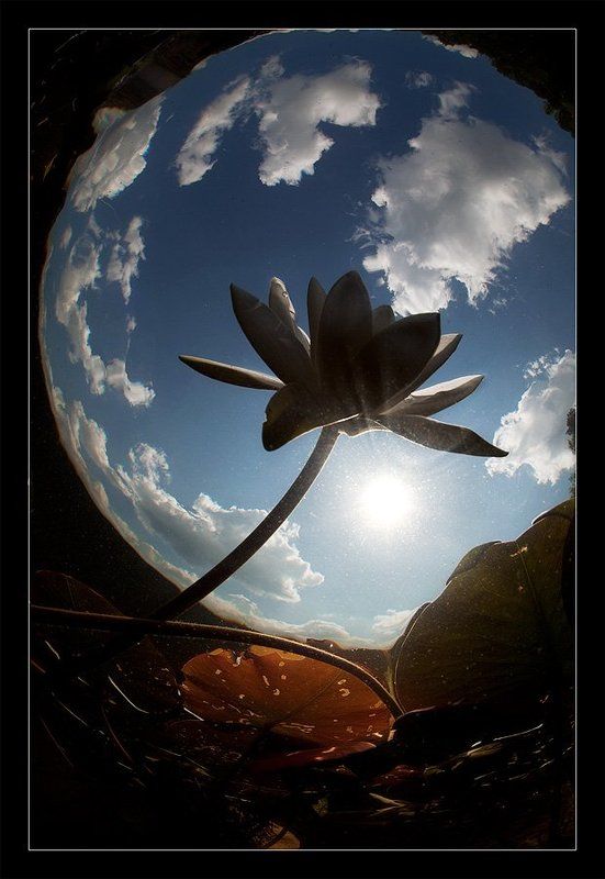 Будет затмение?photo preview