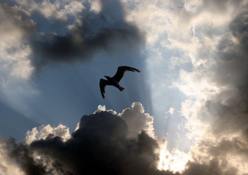 про светphoto preview