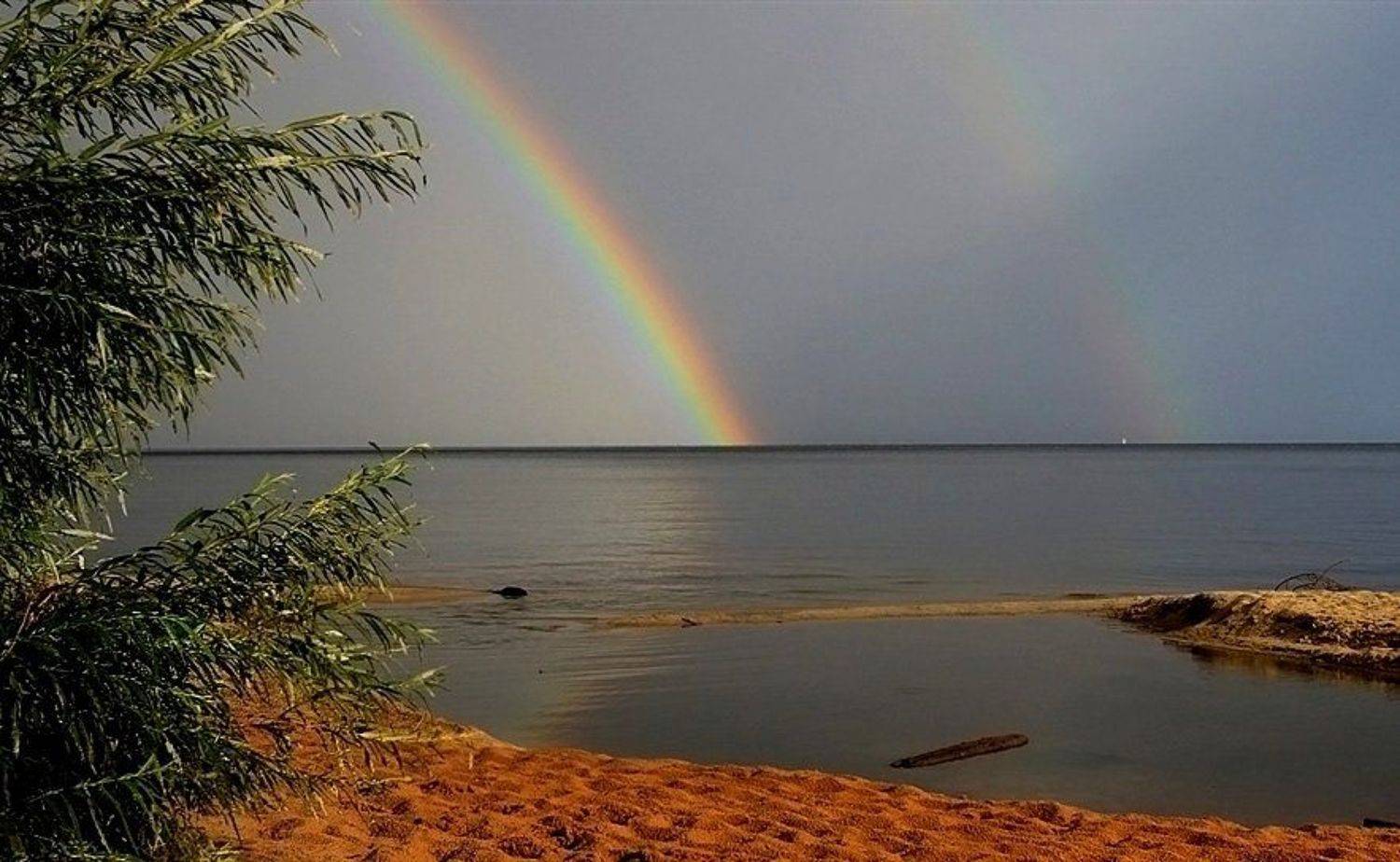 , Василий Черкасский