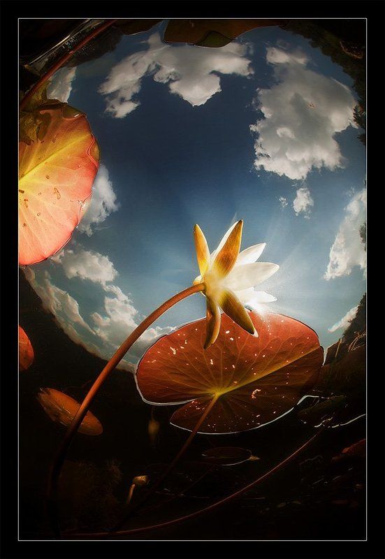 Если звезды зажигают...photo preview