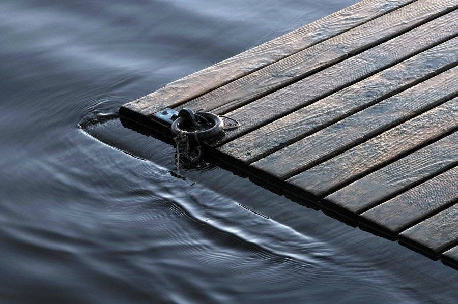 без названия. Автор: Детеныш , Детеныш