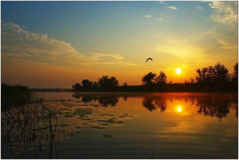 утро, рассвет Рано утром..photo preview