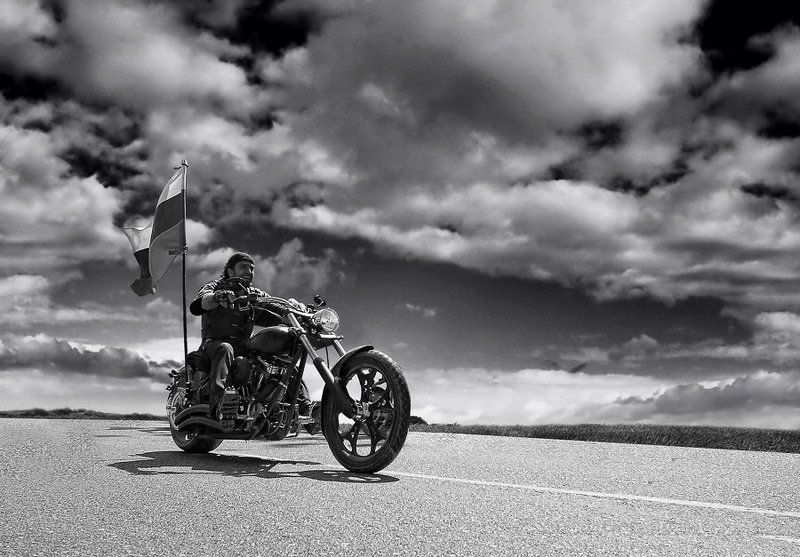 всадники железных конейphoto preview