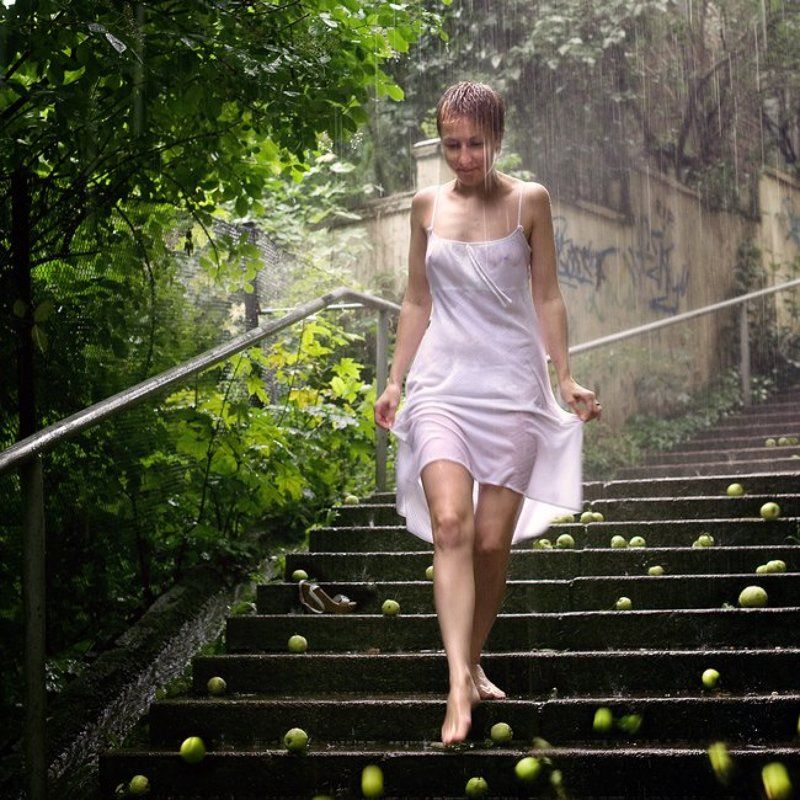 воровка яблокphoto preview