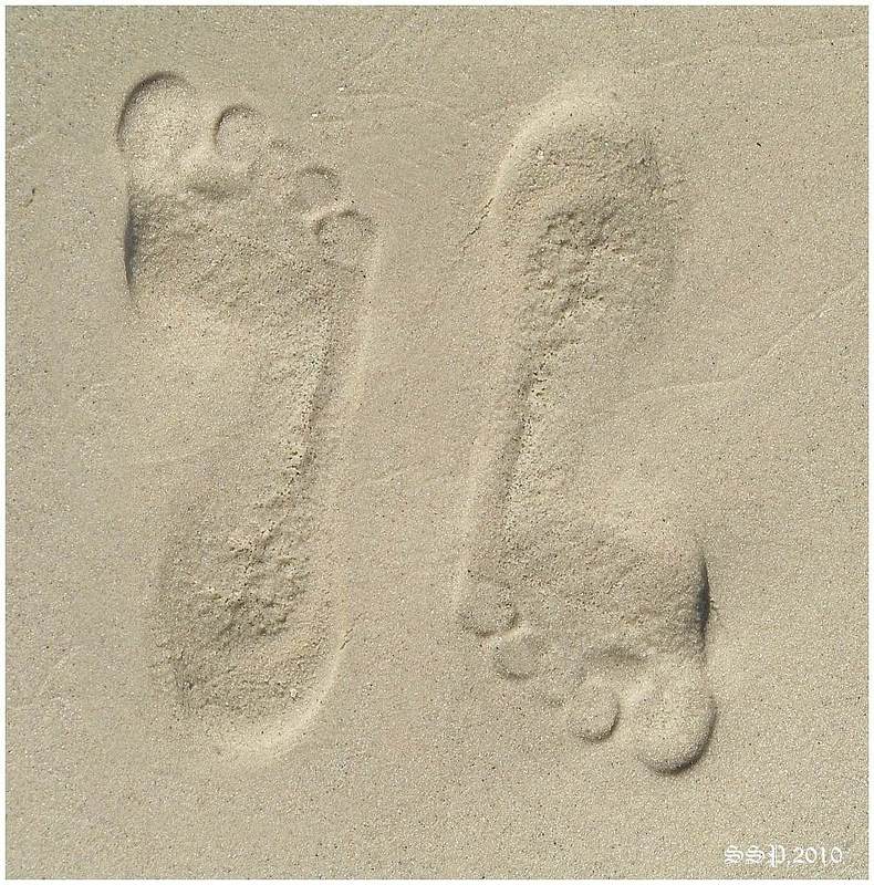 ...СЛЕДЫ...photo preview