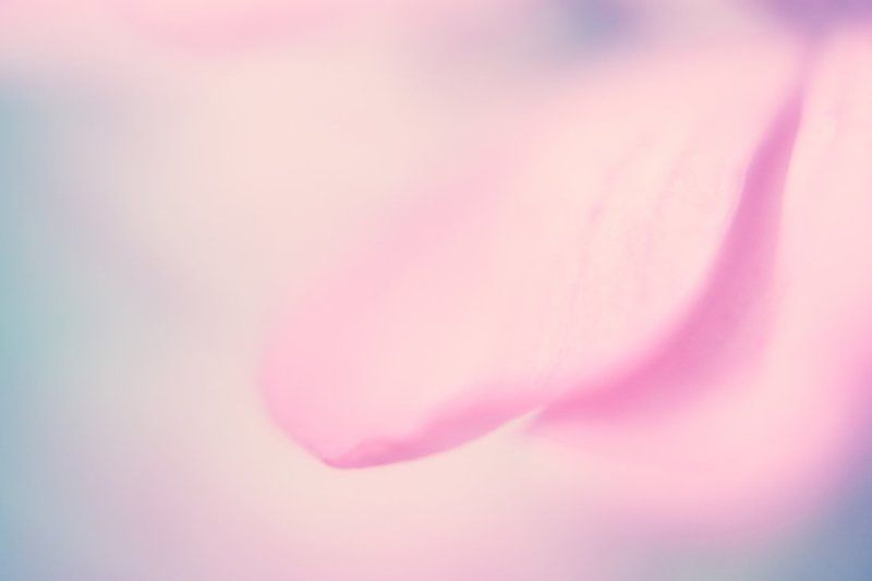 untitlephoto preview