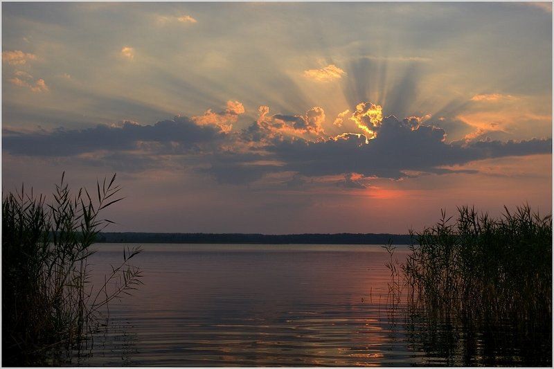 *          *           *photo preview