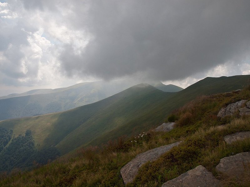 ... фото превью