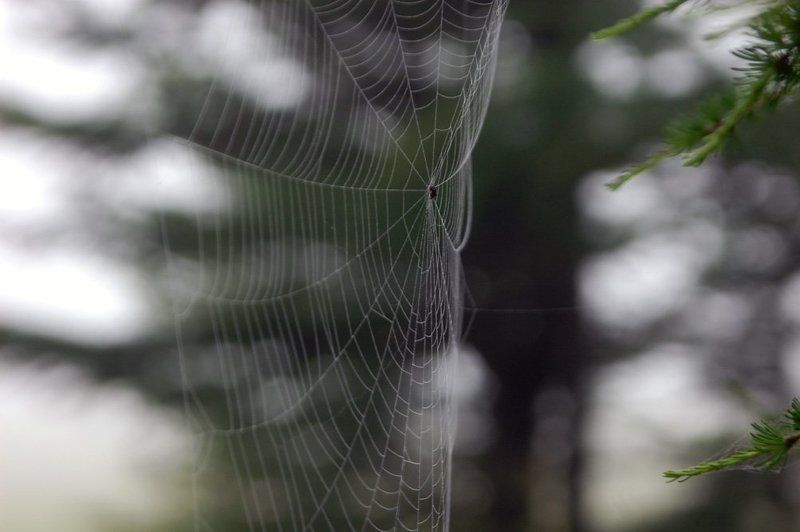 границаphoto preview