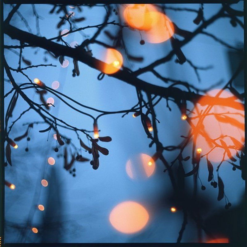 film,6x6,bokeh,arsat,fuji firefliesphoto preview