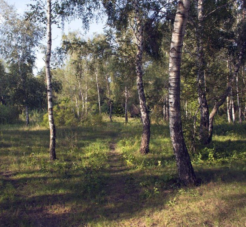 Одного разу вранці...photo preview