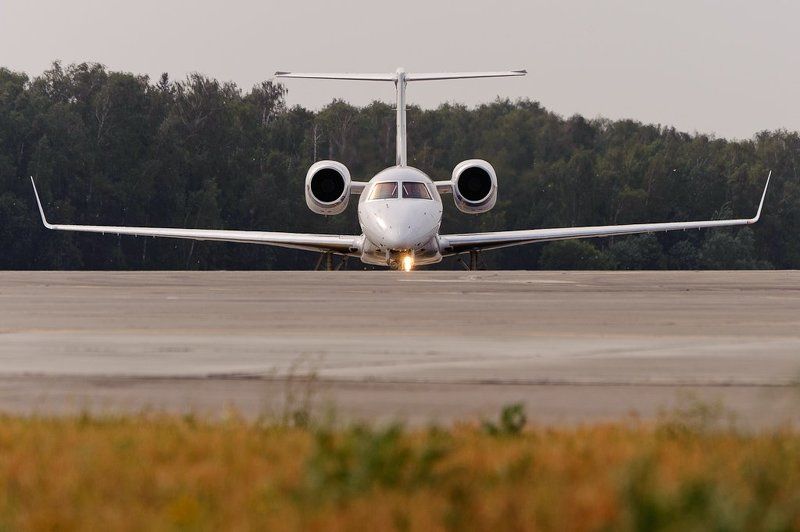 spotting, домодедово Ушастая Птичкаphoto preview