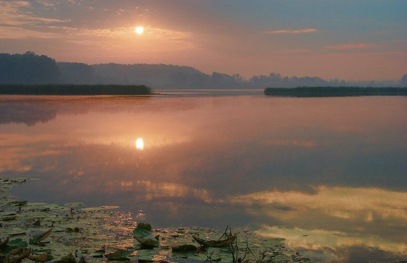 Утро на Щучьемphoto preview