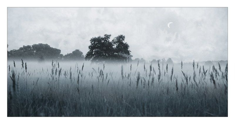 Ночьphoto preview