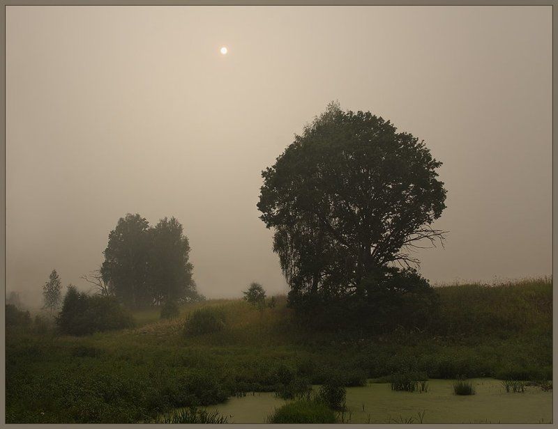 Время дымных пейзажейphoto preview