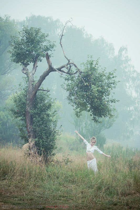 В дымуphoto preview