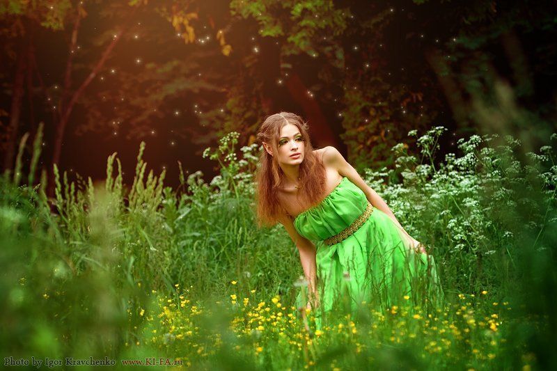 Эльфикphoto preview