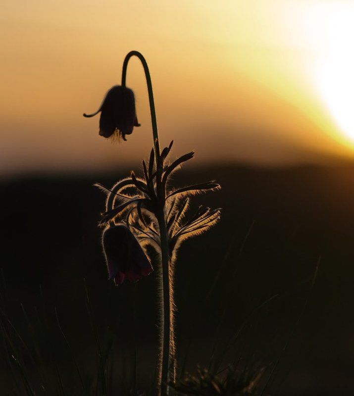 А завтра снова мы проснемся...photo preview