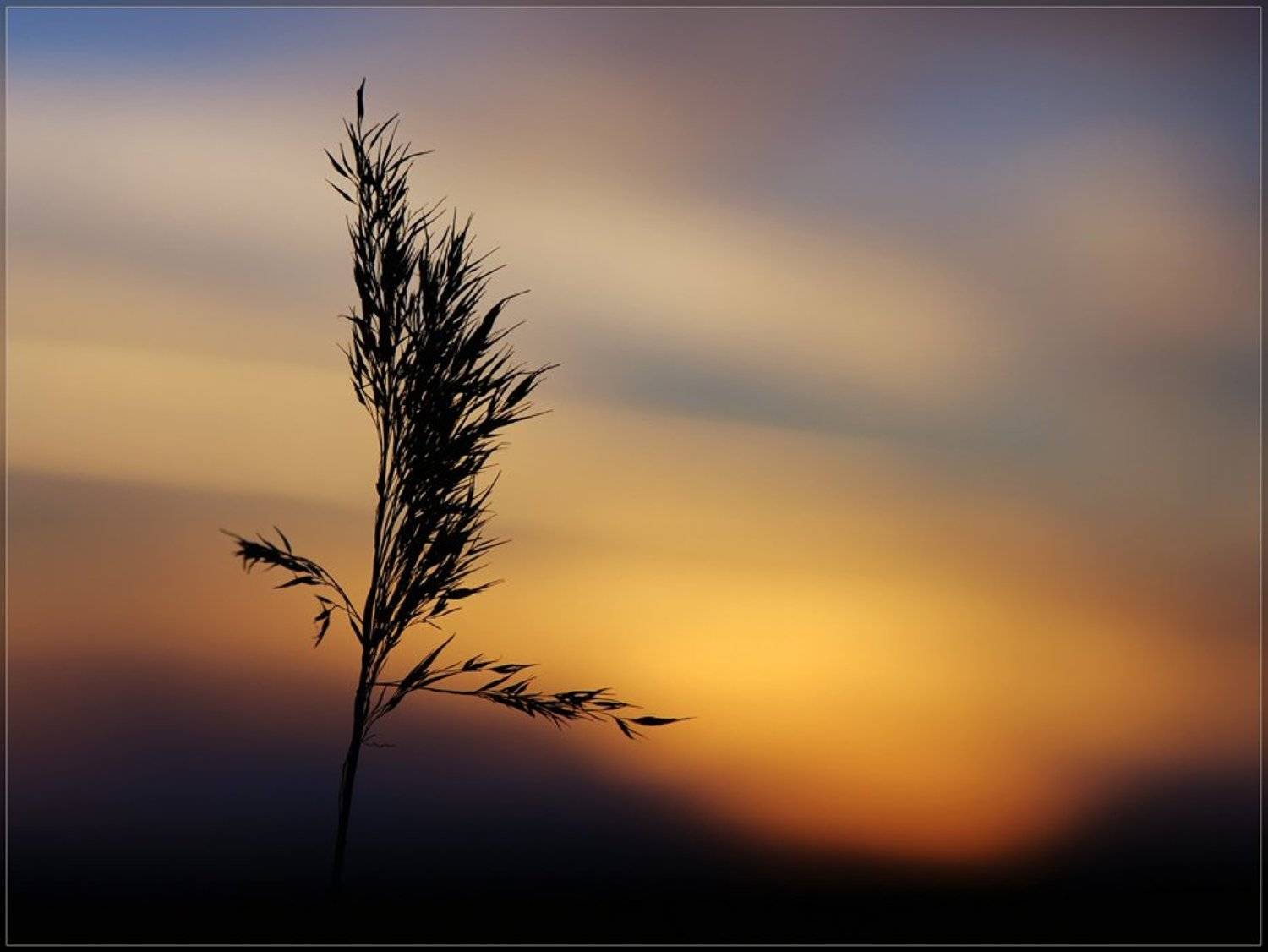 , Татьяна Аверина