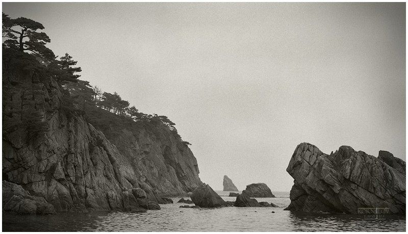 туман, море, гамова, витязь, плёнка, киев, 88, приморский, край, владивосток, дмитрий, корнилов, северные, земли ***photo preview