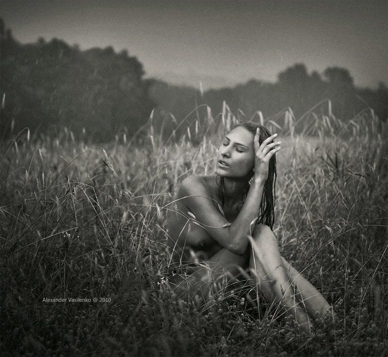 Summer rain...photo preview