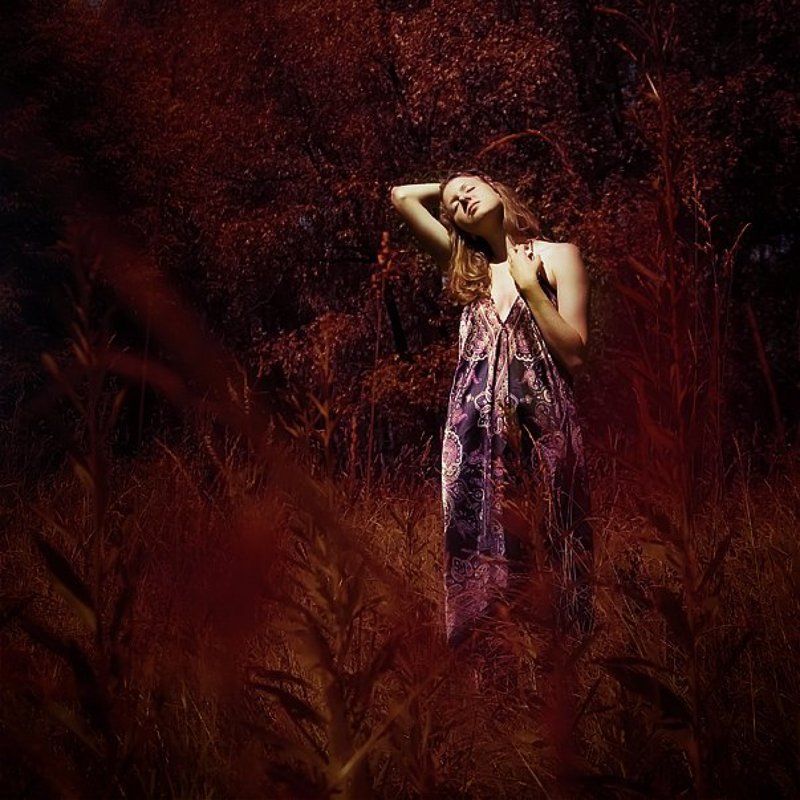 Alexandraphoto preview