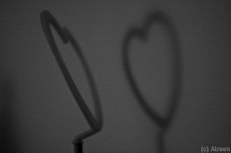 Сердце и теньphoto preview