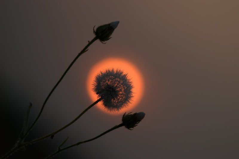 Я хочу раствориться в тебе...photo preview