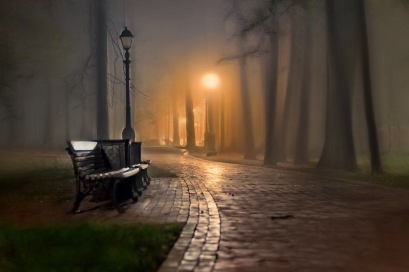 торфяная ночь в царицыно.photo preview