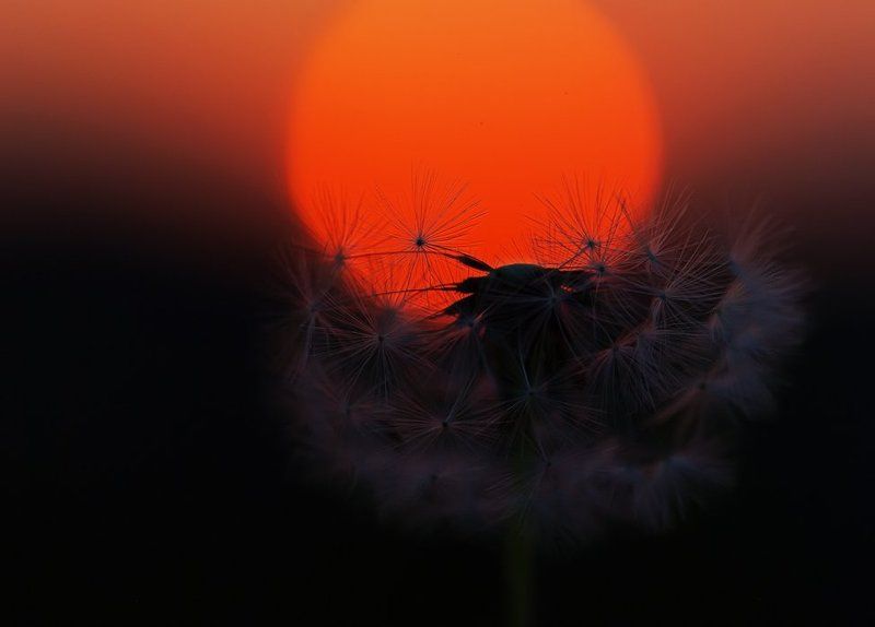 Диалог с закатом...photo preview