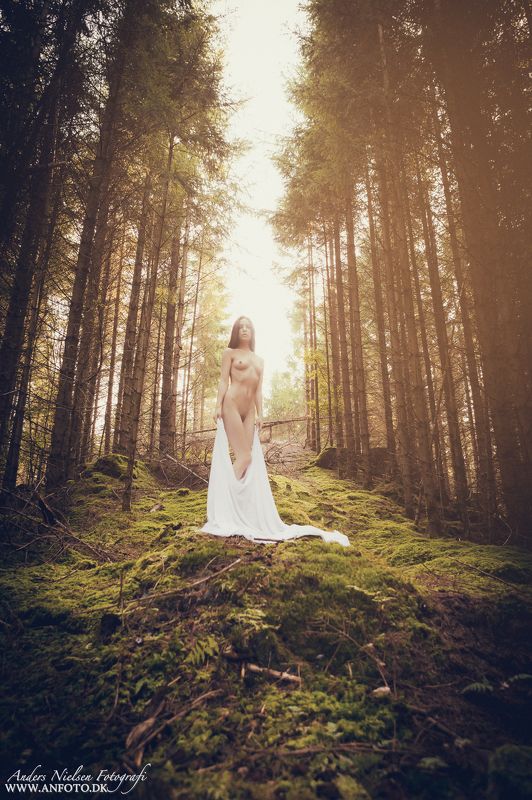 Ascending Angelphoto preview