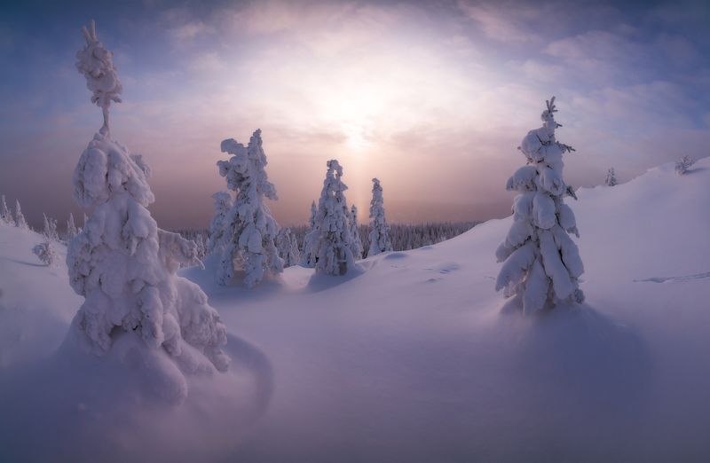 Пушистое настроениеphoto preview